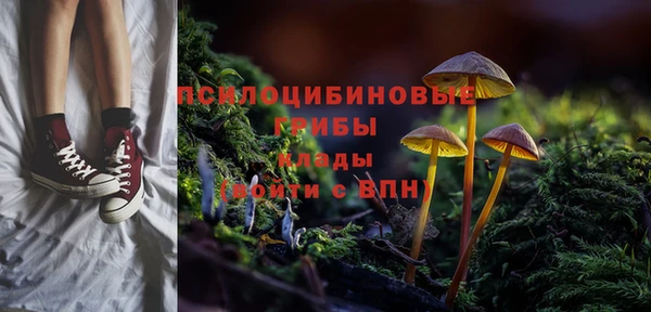 ECSTASY Балабаново