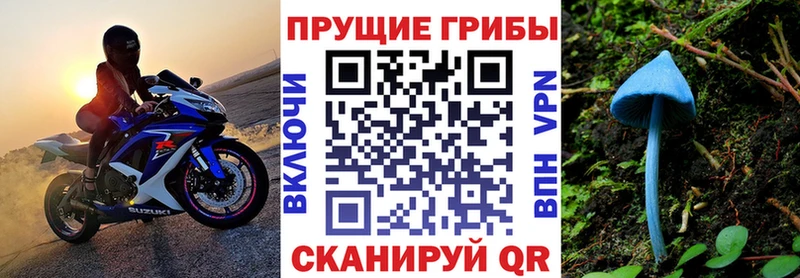 наркота  Выборг  Псилоцибиновые грибы мухоморы 