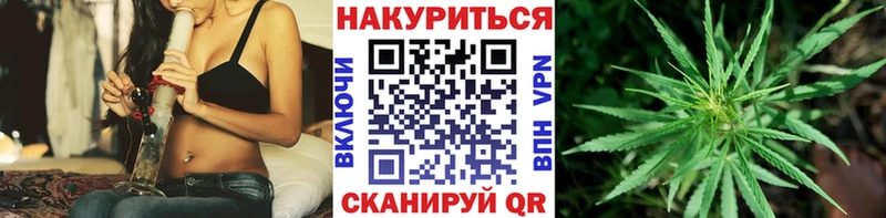 Канабис семена  Выборг 